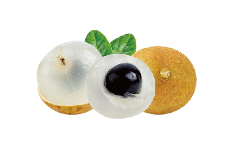 リュウガン種子エキスの画像