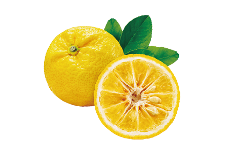 ユズ果実エキスの画像