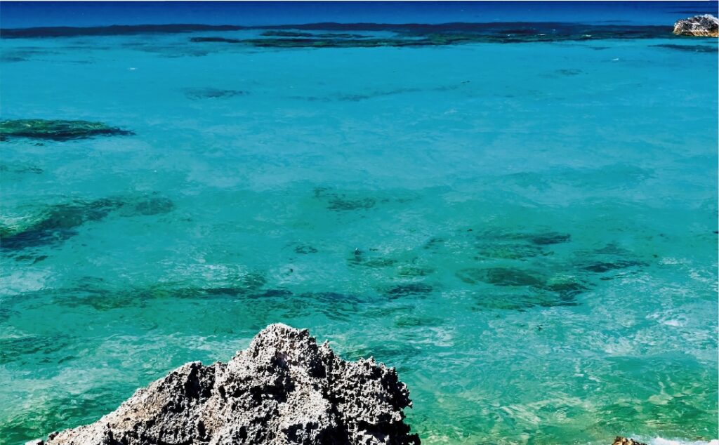 アクティジムのイメージ画像