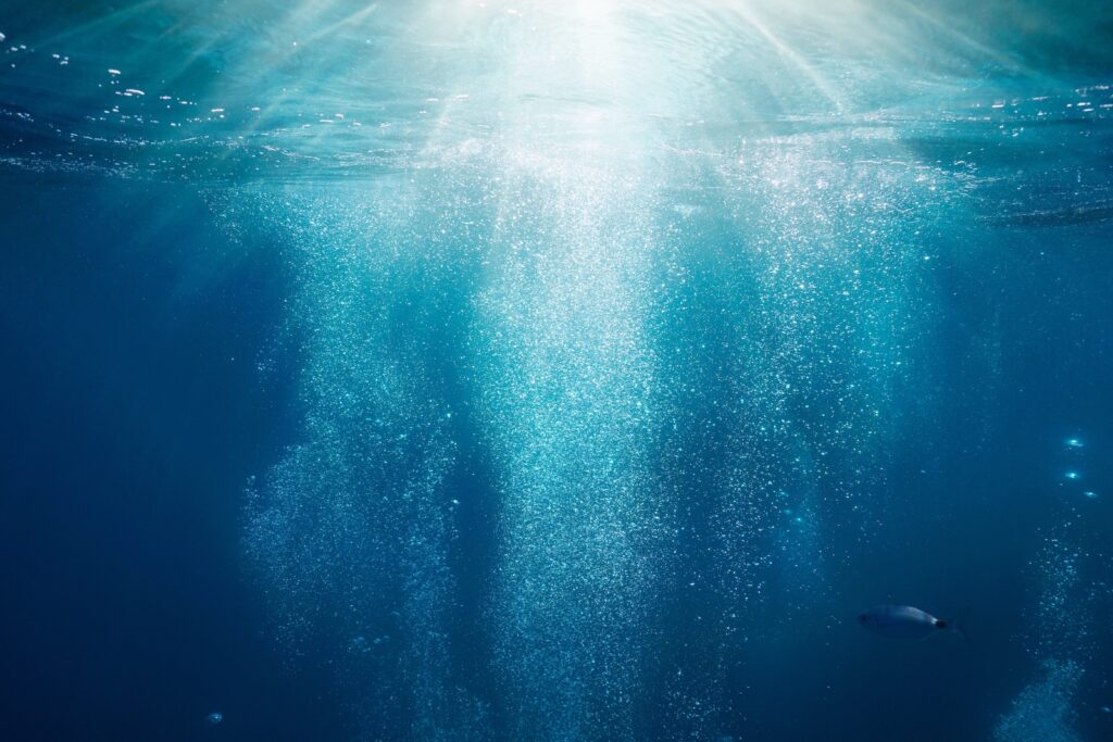 ミネラルバランスのイメージ画像